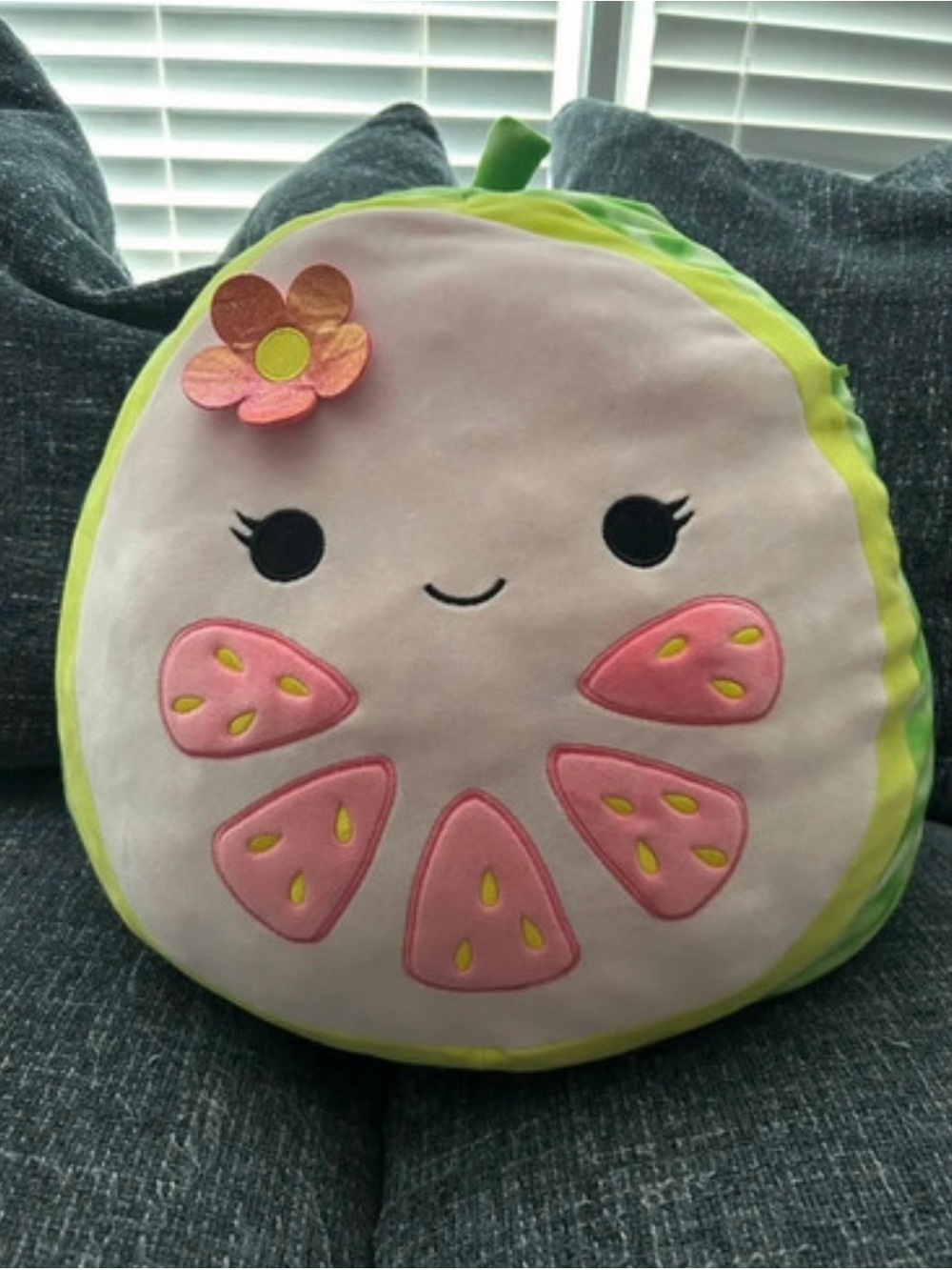 Large Watermelon Squishmallow